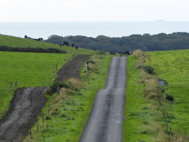 The road to Sandhead