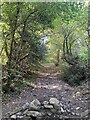 Old track from Clyne Castle to Clyne Farm