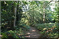 Footpath, Merle Common