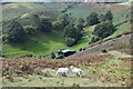 View into Gogbatch Valley