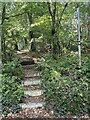 Steps towards a public footpath