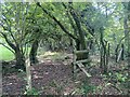 Stile and path  leading towards Hen Parc Wood