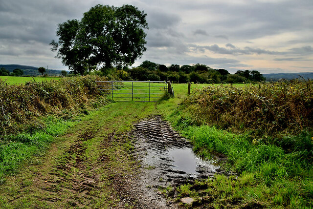 Muddy entrance to field, Drumlegagh
