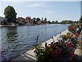 Upstream from the bridge at Marlow