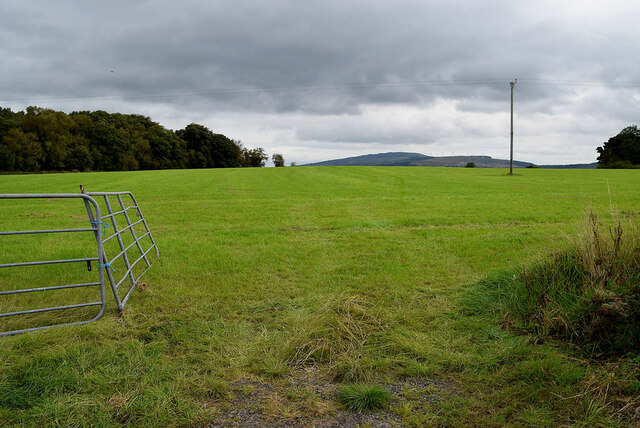 An open field, Drumlegagh