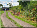 Track near Battlefield Farm