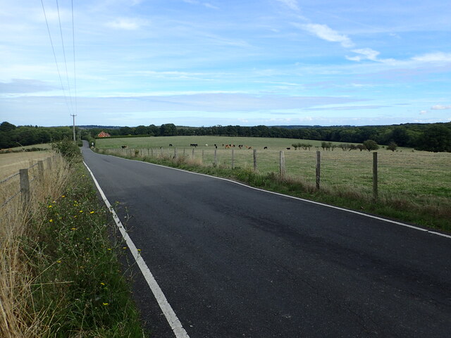 Courtenay Road © Marathon :: Geograph Britain and Ireland