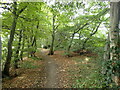 Path from North Bishopden Wood