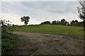 Field by Laundry Lane, Nazeing