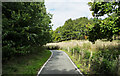 Access road at Bathpool Park