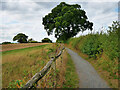 SJ5017 : Footpath around Shrewsbury Battlefield by David Dixon