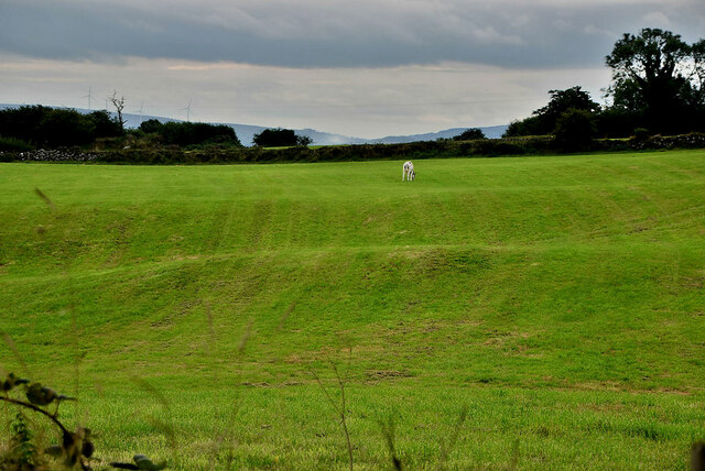 Rolling fields, Drumlegagh