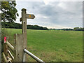 Footpath across Field off Broomhall Lane