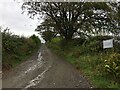 Farm road towards Scotsbrig and Darlawhill