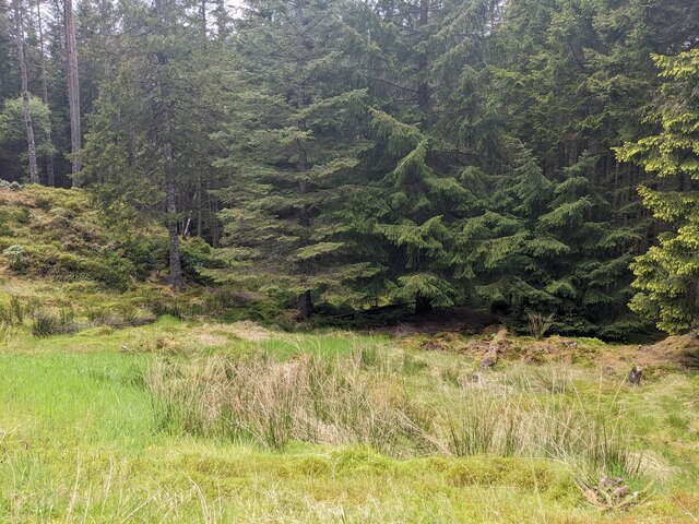 Dense forest near Corrour Shooting Lodge © David Medcalf cc-by-sa/2.0 ...