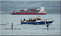 J5082 : A busy Belfast Lough by Rossographer