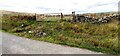 Gate to field from Church Gate east of Weasdale