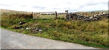 NY6903 : Gate to field from Church Gate east of Weasdale by Luke Shaw