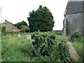 TF5716 : Islington Churchyard: mid September 2022 by Basher Eyre