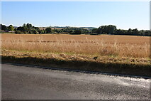 SU6083 : Field by Wallingford Road, South Stoke by David Howard
