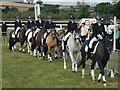 Orchard Portman : Taunton Racecourse - Somerset County Show