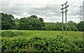 Grazing and power lines near Sandford Pool