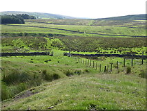 NY6948 : The Pennine Way near Whitlow by Dave Kelly