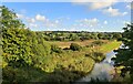 River Hayle