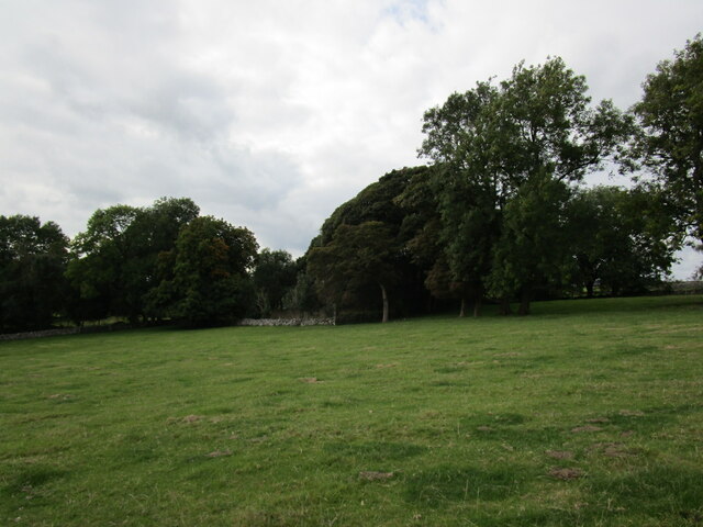 Grass field near Bulltor Lane