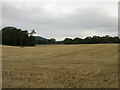 Stubble field west of Bankfoot