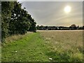 Path into Watton by the wood