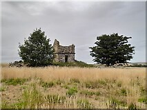 NJ8619 : Old Stone Doocot (Dovecote) in a Field by Disblair House, near Newmachar, Aberdeenshire by Andrew Tryon
