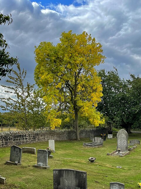 Early Autumn colour in Thurcroft Cemetery