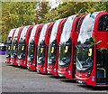 Buses for sale