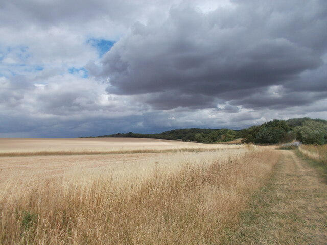 Fields to the west of the A141