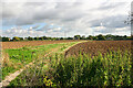 Footpath at the end of Rocheway, Rochford