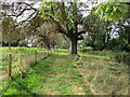 Footpath to Park Lane, Denton