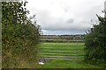 St Erth : Grassy Field & Gate