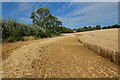 Farmland, Garsington