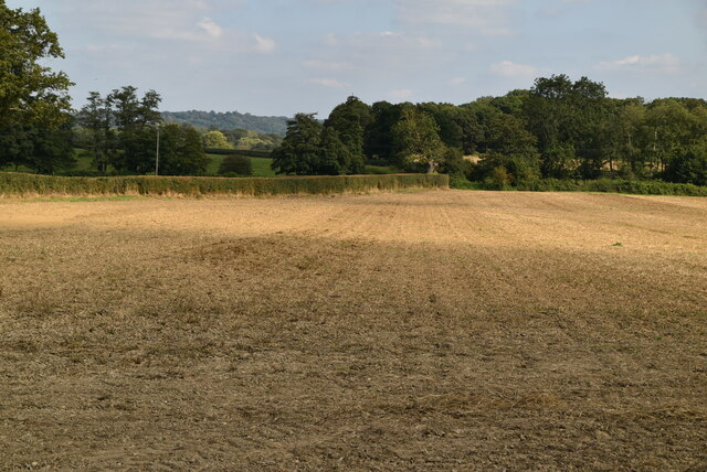Bare field