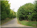 Rooks Nest Lane, near Therfield