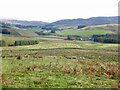 View down the Ettrick, Newburgh