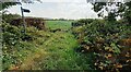 Gateway to fields south of Underhill Farm where public footpath to Stanford on Soar starts