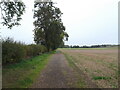 Footpath near Ingham