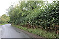SU8598 : Bryants Bottom Road, Hughenden Valley by David Howard