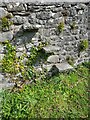 SN7635 : Steps up the churchyard wall of St Mary's, Llanfair-ar-y-bryn by Jeff Gogarty