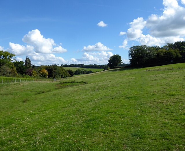 High Field © Simon Carey cc-by-sa/2.0 :: Geograph Britain and Ireland