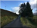 NM4449 : Minor road past Drimnacroish by Steven Brown