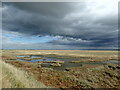 TR0366 : Looking across the salt marsh of The Swale NNR by Marathon