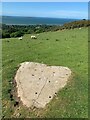 Bryn-y-Goleu rock cannon, Llanfairfechan